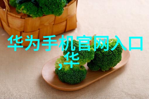 老卫和淑蓉在船上1一7集他们的海上冒险追逐梦想与爱情