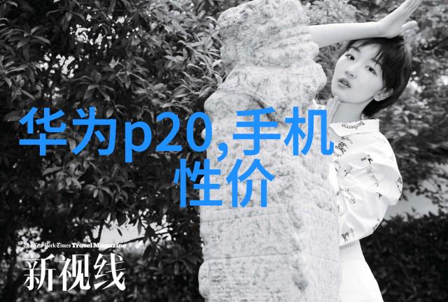 中国新冠最新特效药抗疫英雄的守护者