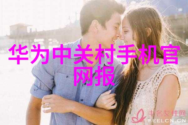古韵今制揭秘一座中式别墅装修背后的神秘故事