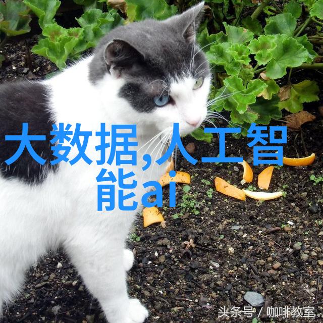 如何在住宅中应用简单小型污水处理系统