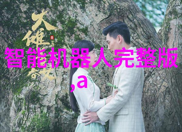 二手房翻新-从旧到新的魅力二手房翻新攻略与设计灵感