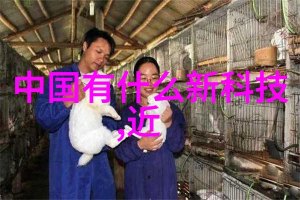 波纹织梦不锈钢丝网的填料密度交响曲