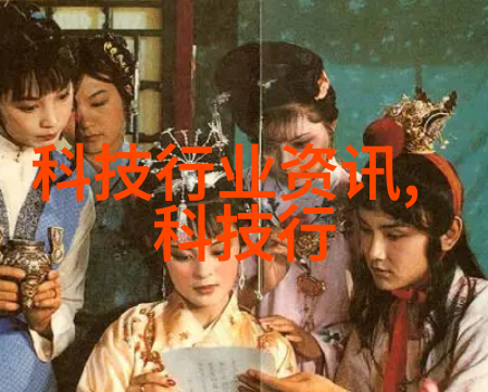 有限责任公司的发展历程与未来趋势