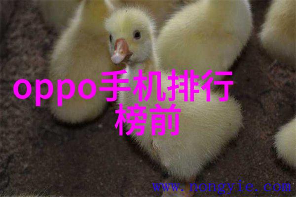 探究套管式换热器在复杂流体动力学系统中的应用及其效率提升策略
