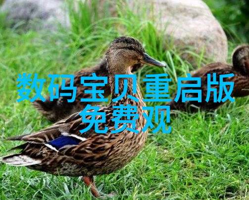 净水器PH值指南揭秘健康饮用水的酸碱平衡