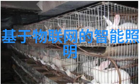 环形结构中的环填料技术