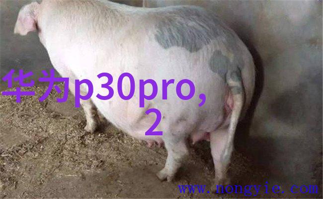 PVC管材型号分类根据口径选择合适的产品