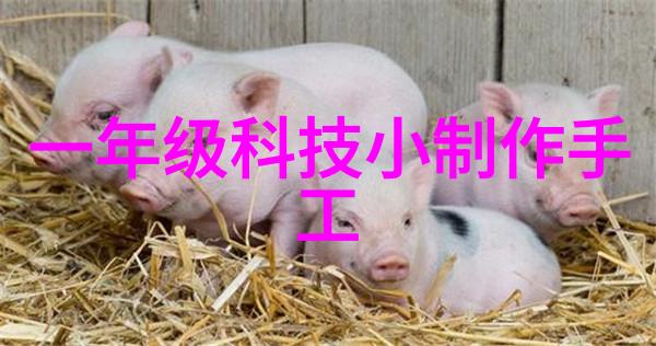 尚层别墅装修设计 - 梦幻园囿精致生活的诗篇
