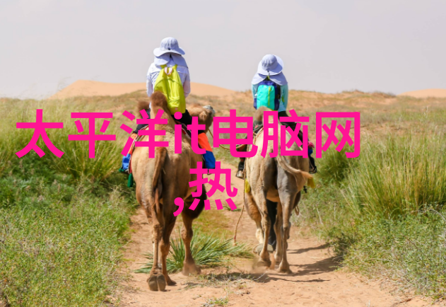 C得你舒服两位伙伴的温馨对话