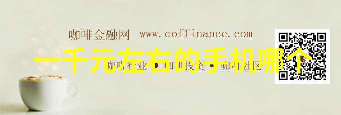 规整填料的环形应用与优化策略