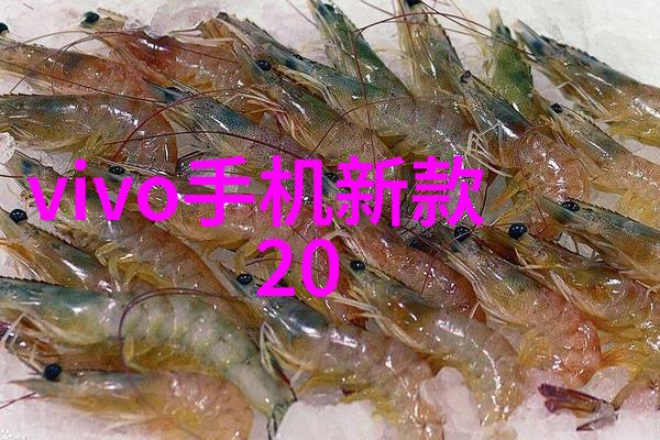 织网捕鱼的线束探索传统渔业技术的韧性与未来