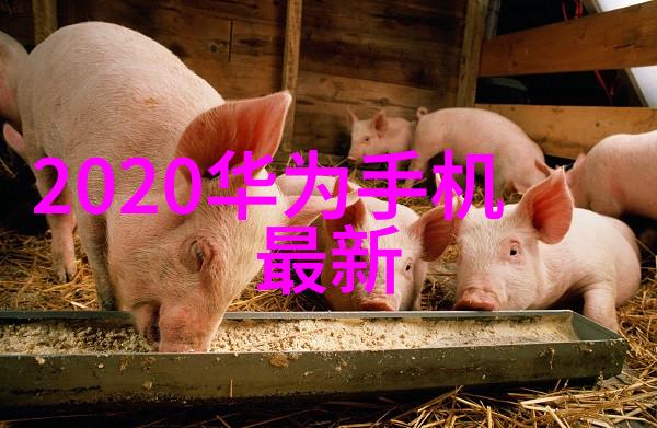分割精炼再生铜铁分離機器設備在循环经济中的角色