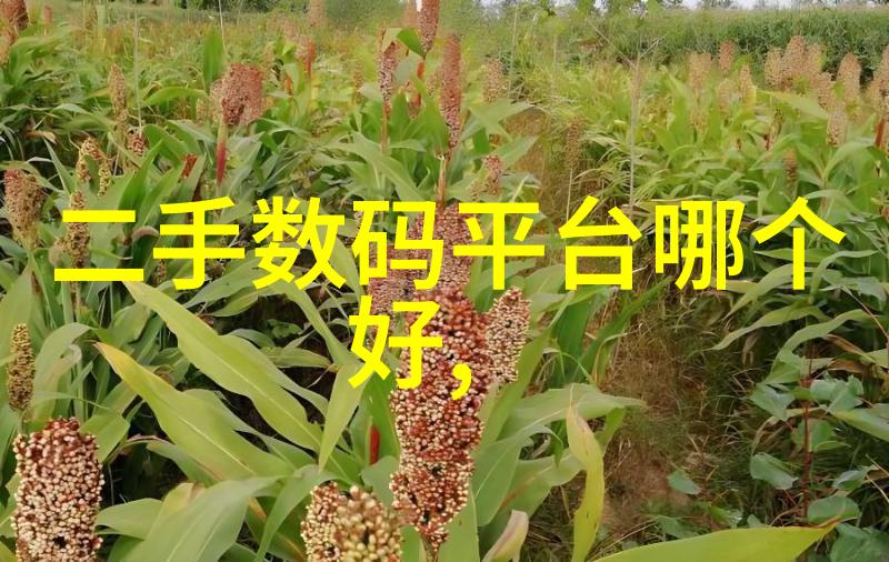丝网填料750塔板-精密制造下的高效筛分丝网填料750塔板的应用与优势
