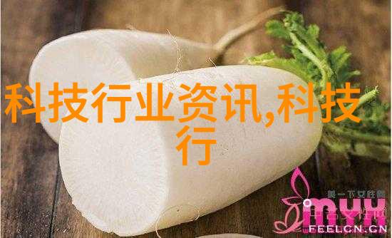 巨力清洁器800公斤高压清洗机的强大实力与应用广泛之谜
