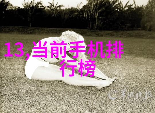精准分析水质揭秘总氮测定仪的工作原理与应用