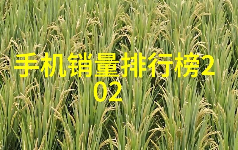 医院超纯水设备 - 确保医疗安全医院超纯水设备的重要性与选择