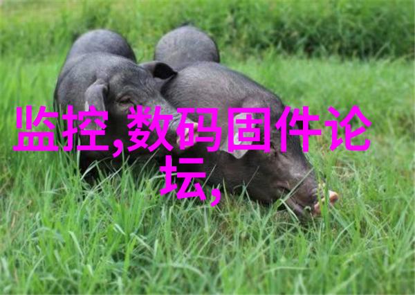 在工业生产中为什么需要高精度的输送设备