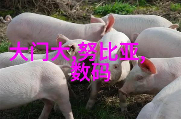 HDPE给水管材厂家如何确保产品质量