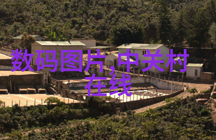 仪器分析技术革新高通量测序与单分子检测的融合应用