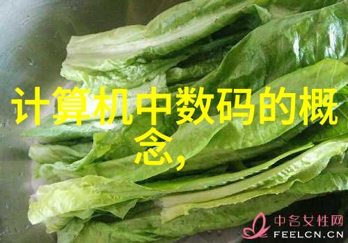 净化之翼空气分离设备的奇迹与挑战