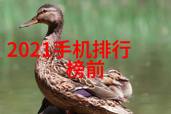 东京热全集下载