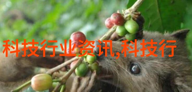 PP填料应用-提升复合材料性能的关键PP填料在塑料加工中的作用与选择