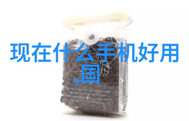 专利申请地选择的学术探究个人创新策略与法律框架