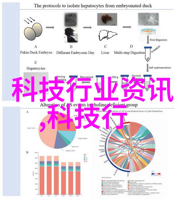 当代影视产业发展对传统文化的再现与转化研究