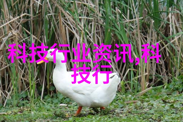 探索隐秘的游戏规则迈开腿揭开怎么c你的神秘面纱