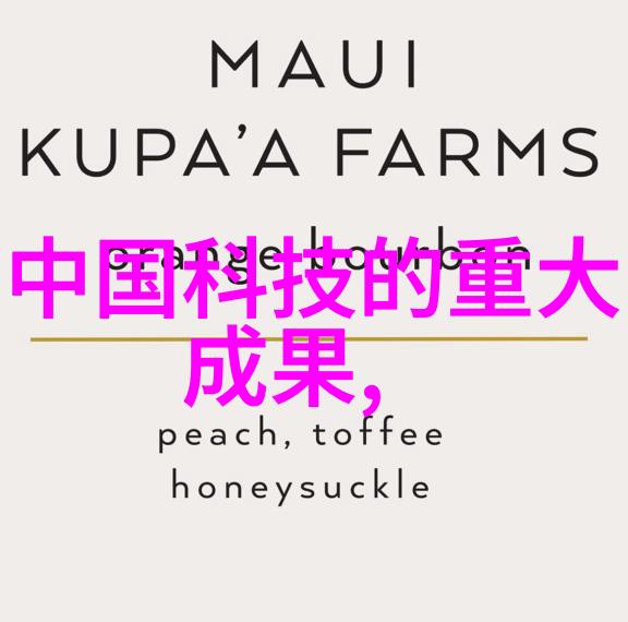梦幻居所温馨主卧室的装饰艺术