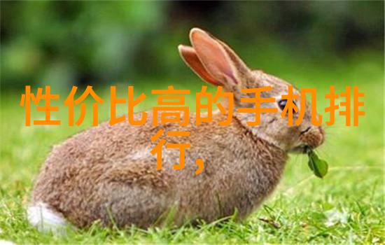 厦门实验室新装备推动科研进步的引擎