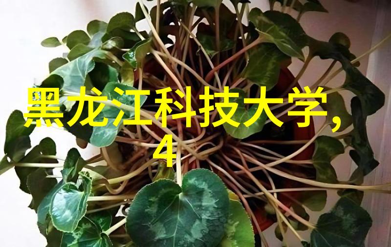 梦十夜守护沉睡之城的守望者
