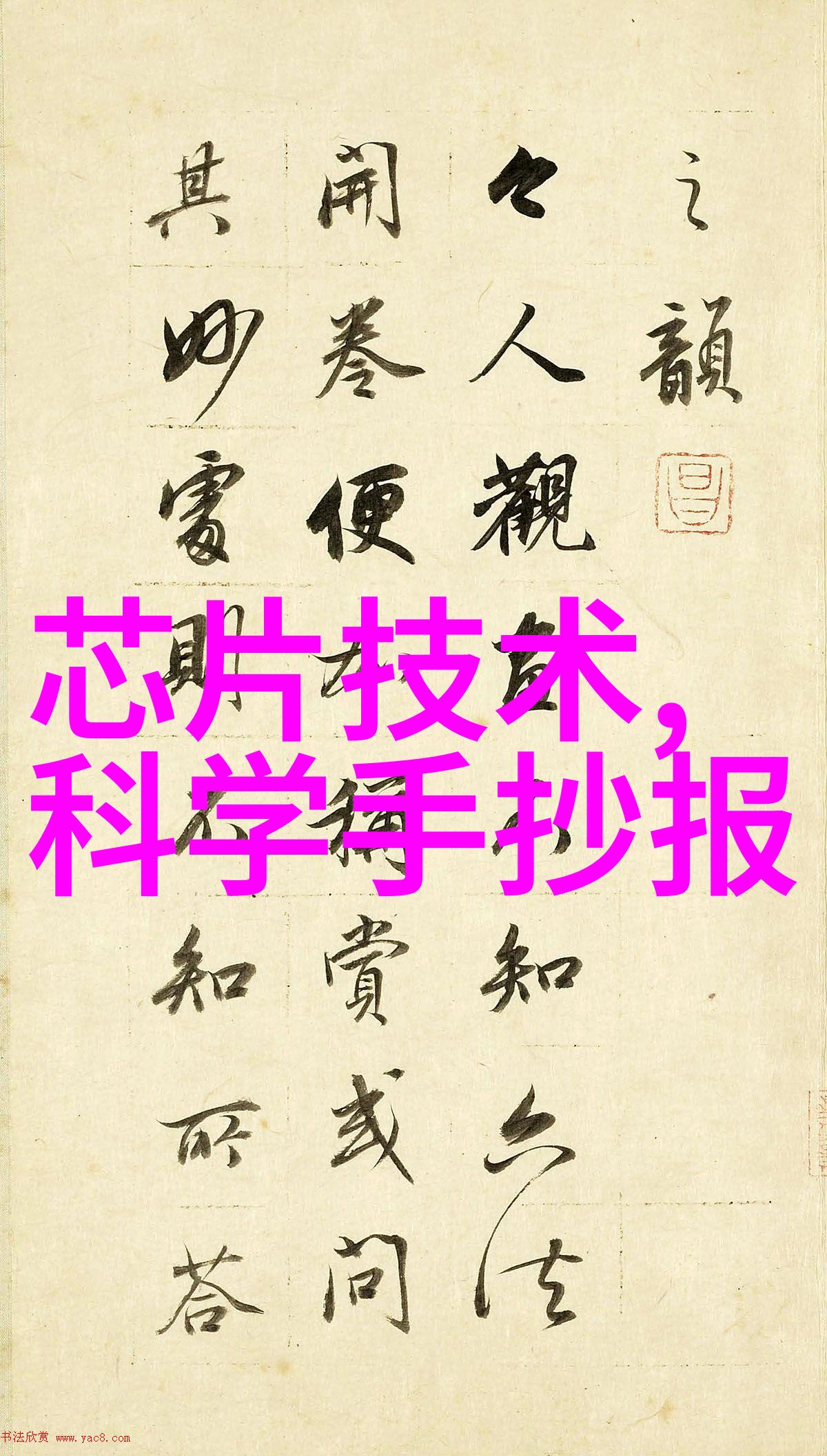 工作汇报内容的精髓与技巧探究