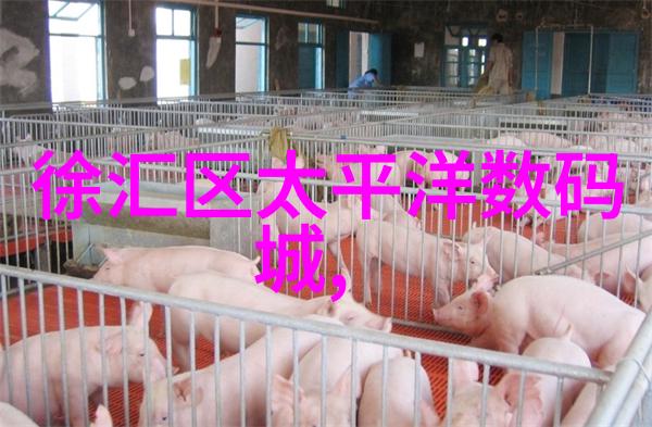 微波炉使用指南安全操作技巧与烹饪妙招