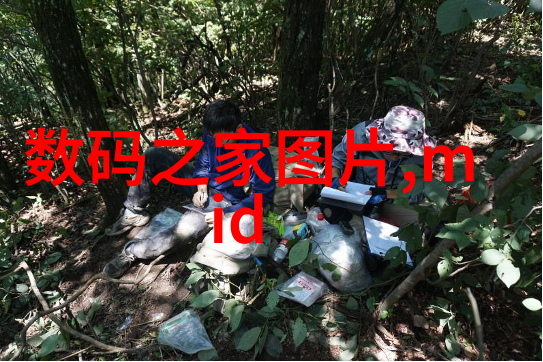 废气净化设备除尘设备我的家里的空气清新之路