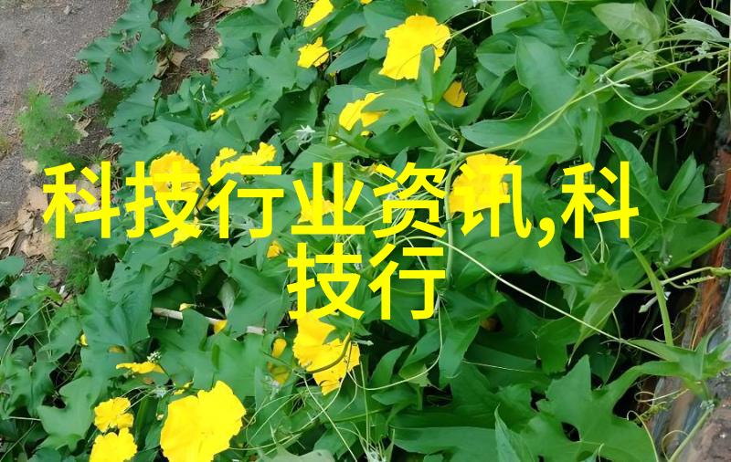 揭秘正规装修全包详细清单明细解析