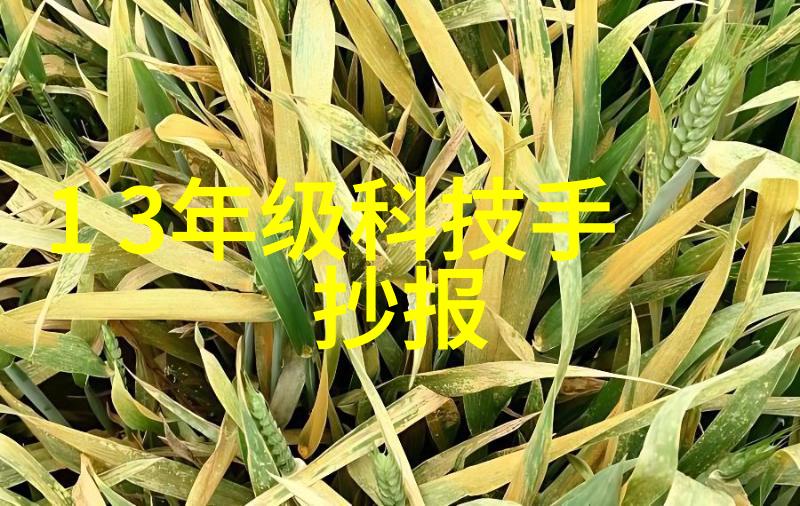 插上科学的翅膀飞我要告诉你一个超级有趣的秘密