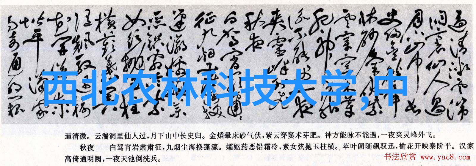 新房不需要做哪些装修简约家居设计节省预算