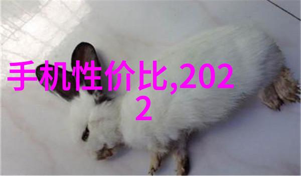 为何我们应该支持可持续的回收模式而不是一次性使用制品