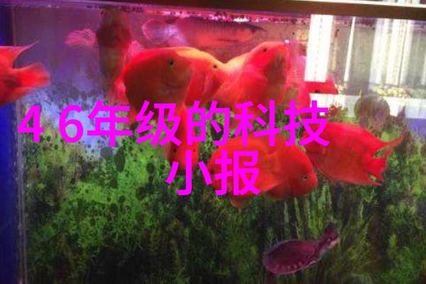 红色砖墙的故事探索古建筑中的耐久材料