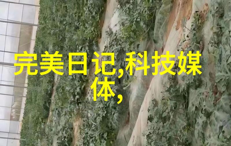 高效消毒新时代超高温瞬时灭菌机革新医疗卫生行业