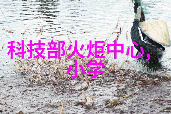 碳酸镍在电化学储能中的应用前景与挑战研究