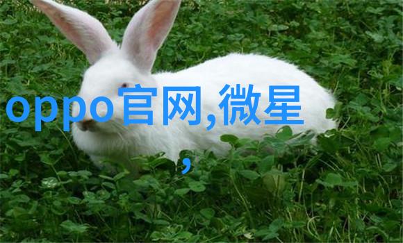 智能控制算法提高化工胶囊制备过程效率与精确度