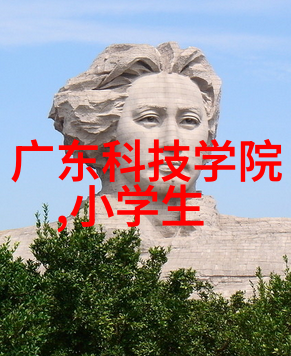鲍尔环连接技术dn50标准解析