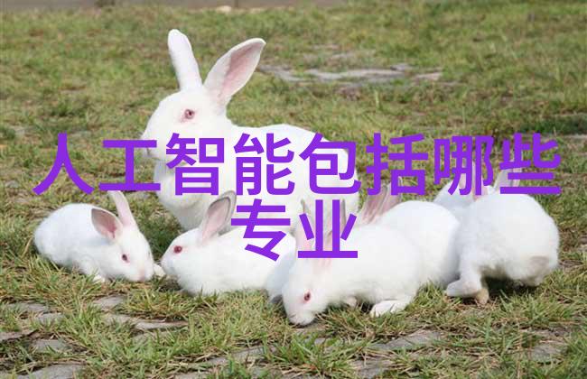 织物艺术丝网填料与波纹填料的精妙对比