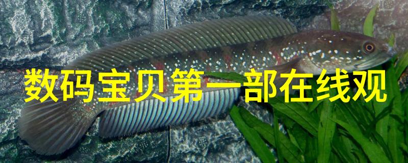 新型保温材料-节能卓越新型高效保温材料革新建筑行业
