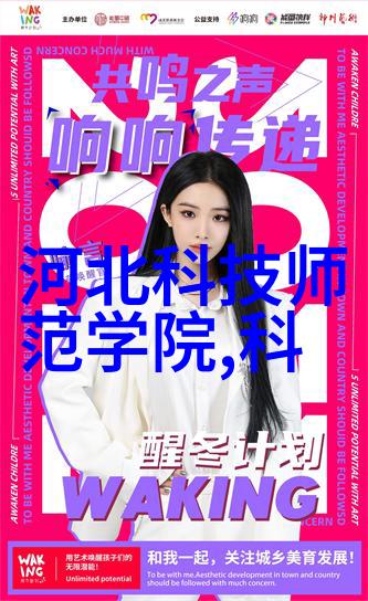 古色古香的五斗柜家居中的文化遗产