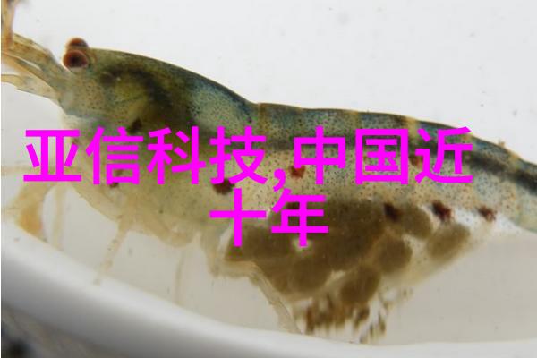 申请拨付专项资金的关键步骤指南
