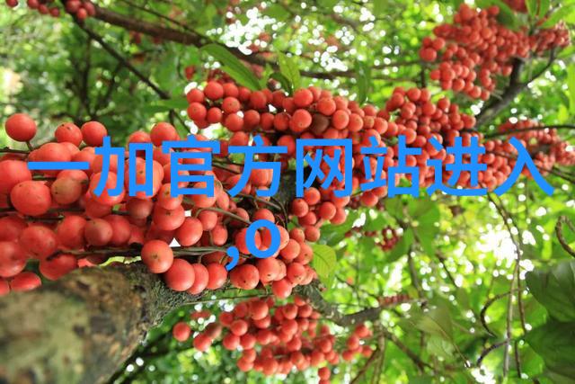 春日愉悦-樱桃之恋想吃你身上两个的樱桃