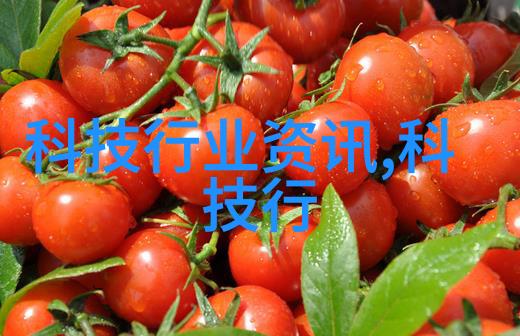 超高压力下的微生物信号探测器